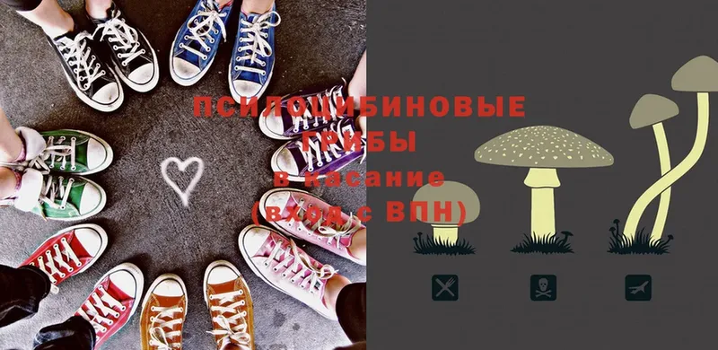 Галлюциногенные грибы ЛСД  Болотное 